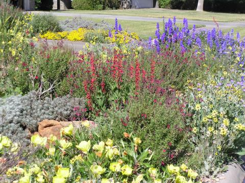 When to plant a garden in texas panhandle